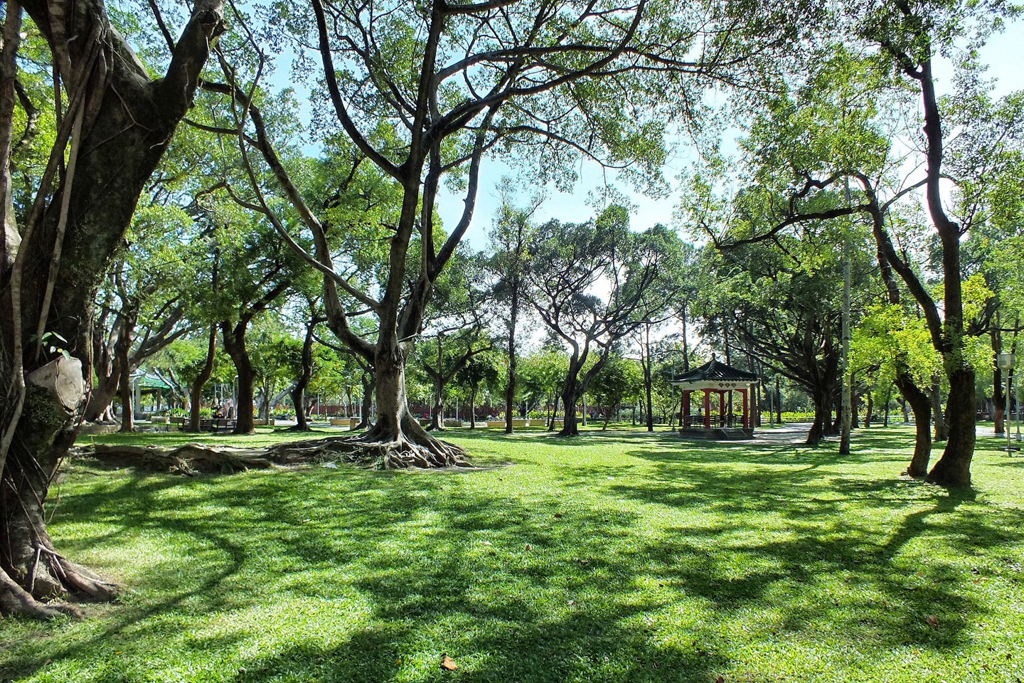 Menyegarkan Pikiran di Taman dan Ruang Hijau di Taipei